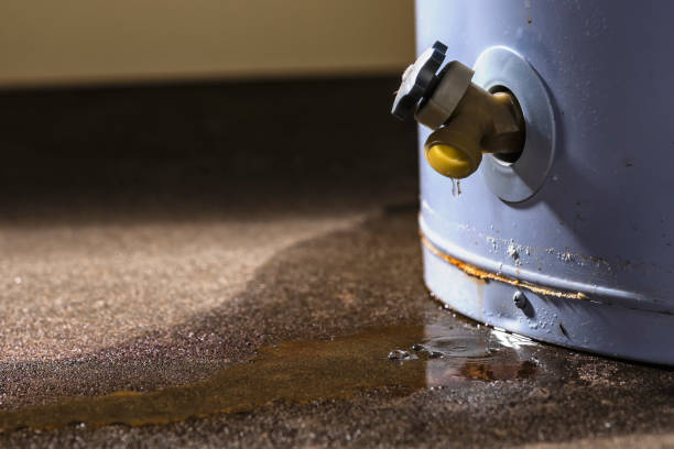 Best Water damage restoration cost  in Highland Lakes, NJ