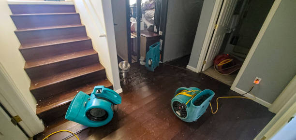 Best Professional water damage repair  in Highland Lakes, NJ
