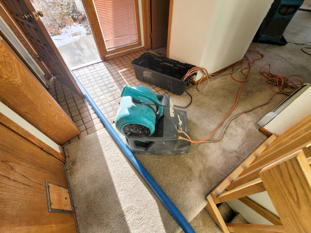 Best Water damage cleanup near me  in Highland Lakes, NJ