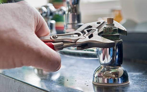 Best Mold removal after water damage  in Highland Lakes, NJ