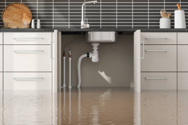 Water damage restoration mold remediation in NJ